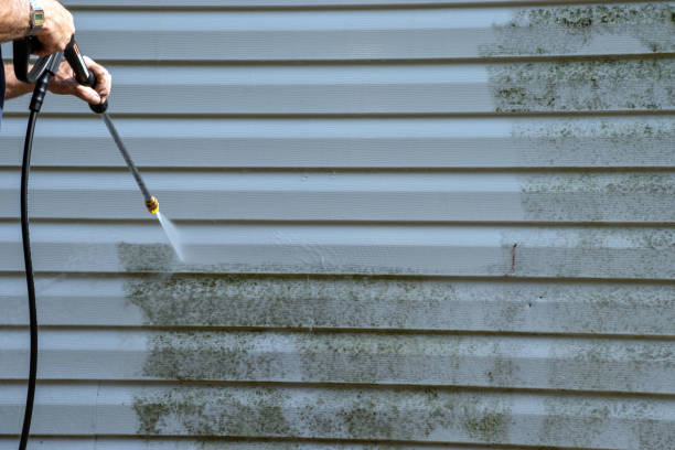 Affordable Siding Repair and Maintenance Services in Paynesville, MN