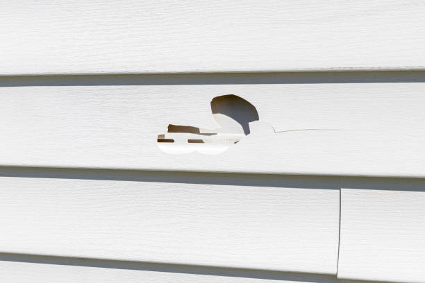 Professional Siding in Paynesville, MN